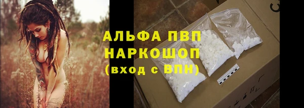 крисы Алексин