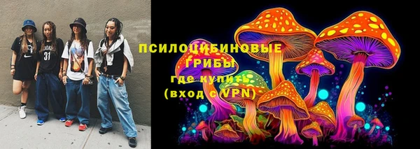 молекула духа Алексеевка