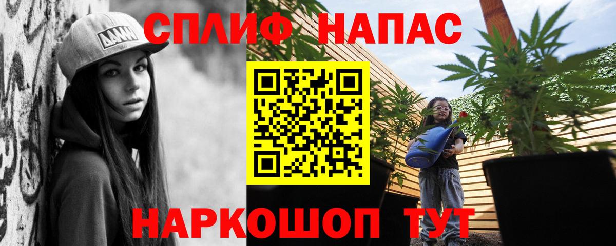 Конопля VHQ Новошахтинск